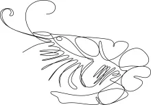 Explore Simple Line Drawing with This Easy Shrimp One-Line Art Idea