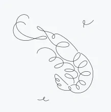 Draw a Shrimp in a Single Line to Learn Outline and Form Basics