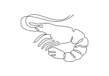 One-Line Shrimp Drawing for Practicing Simplified Animal Shapes