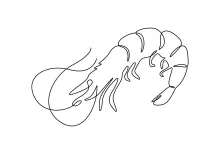 Master Minimalist Shrimp Drawing: One-Line Practice for All Ages