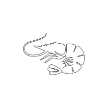 Easy Shrimp One-Line Drawing: Boost Focus and Fine Motor Skills
