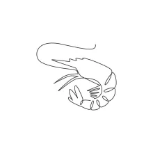 Learn to Draw a Shrimp with One Line: A Creative Way to Train Observation