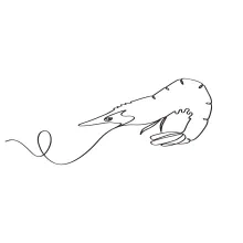 Draw a Shrimp with One Line: Easy Creative Practice to Develop Observation Skills