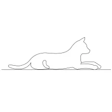  Line Cat Drawing for Everyday Art Practice – Easy, Fun, and Educational