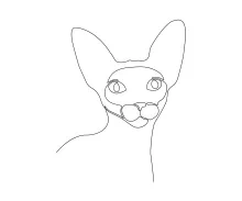 Draw a Sphinx Cat in One Line – Learn Unique Animal Shapes Through Simple Drawing