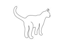 Learn to Draw a Cat with Simple Lines – Great for Practicing Animal Shapes