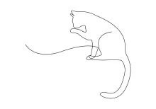  Line Cat Drawing – Great Practice for Developing Hand Coordination and Focus