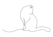 Line Cat Drawing for Beginners – A Relaxed Way to Practice Animal Art
