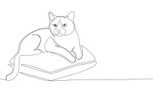 Cat on Pillow  Line Drawing – A Cozy Practice for Learning Simple Animal Shapes