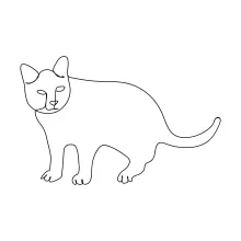Easy  Line Cat Drawing to Build Focus and Line Accuracy