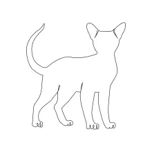 Drawing a Young Kitten with One Line to Practice Simplicity and Expression