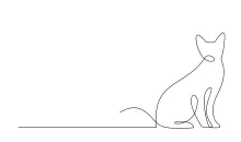 "Mastering One Line Art: Capturing a Cat’s Posture in a Simple Sketch"