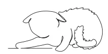 Cat in One Line: Fun and Simple Drawing Style for Young and New Artists