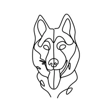Alaskan Malamute Drawing: Strong and Fluffy in One Line