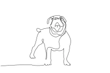 Bulldog One Line Drawing – Sketch Strong, Sturdy Dogs Easily