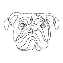 One-Line English Bulldog Drawing: Learn Basic Form with a Stocky Pet