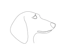 Dachshund Head One Line Drawing: Learn Unique Dog Shapes with Simple Lines