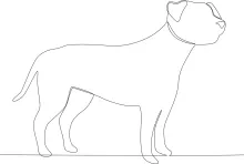 "Single Line Big Dog Sketch: A Simple Way to Illustrate Size and Structure"