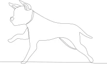 "Continuous Line Running Dog Drawing: Learning Motion with Minimal Lines"