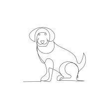 Learn to Draw a Dog in One Line: Perfect for Quick Animal Sketches