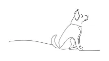 General One Line Dog Drawing – Practice Animal Shapes with Minimal Effort