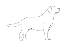 Dog in One Line: Simple Art for Exploring Body Structure and Movement