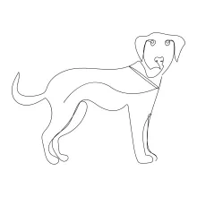 "One-Line Dog Drawing: A Minimalist Approach to Capturing an Endearing Companion"