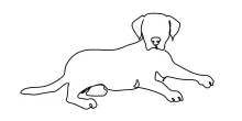"Minimalist Dog Sketch: Expressing Motion and Presence in One Line Art"