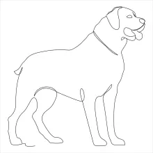 "One-Line Dog Sketch: A Minimalist Approach to Capturing Pet Expressions and Charm"