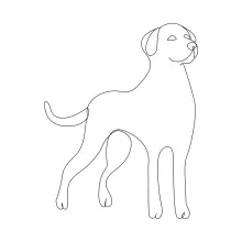 "One-Line Dog Art: A Simplified Approach to Capturing Joyful Pet Gestures"