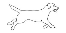 "One Line Dog Drawing: Capturing Personality and Strength with Minimalist Techniques"