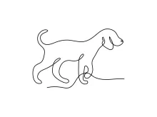 Quick One Line Sketch of Playful Dog – Build Drawing Skills with Ease