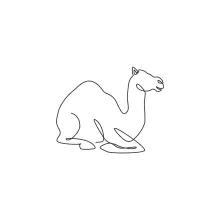 One-Line Camel Drawing: Learn to Sketch Desert Animals Using a Continuous Line