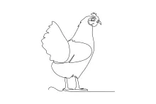 Draw a Chicken in One Line: Simple Bird Drawing for Beginners