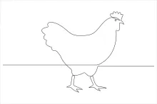 Easy Chicken Drawing in One Line: Learn Bird Forms with a Fun Farm Subject