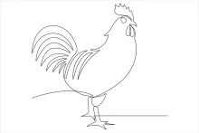 Draw a Chicken in One Line: Learn Bird Shapes and Improve Sketching Focus
