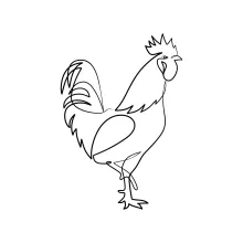 Easy Rooster One-Line Drawing: Great Practice for Animal Outlines and Proportions