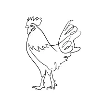 One-Line Rooster Drawing: Practice Bird Shapes with Simple and Clear Outlines
