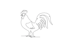 One-Line Rooster Drawing: Sketch Farm Birds Using Simple Connected Lines