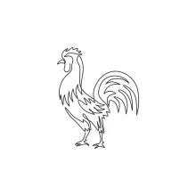 One-Line Rooster Drawing for Kids and Adults: Learn Bird Forms Through Simple Lines