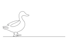 One-Line Duck Drawing Tutorial: Great for Bird Practice and Hand Coordination