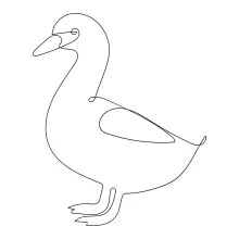 Draw a Duck in One Continuous Line: Quick and Simple Bird Art Practice