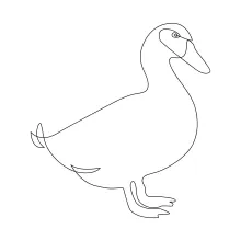 Easy One-Line Duck Art: Simple Bird Sketching Practice for Kids and Beginners