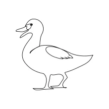 Simple One-Line Duck Drawing: Friendly Bird Sketching for Early Learners