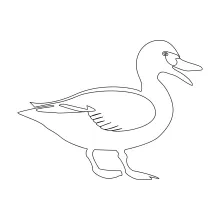 One-Line Duck Drawing for Beginners: Gentle Bird Art You Can Draw Anytime