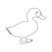 Quick One-Line Duck Drawing: A Simple Bird for Everyday Art Practice