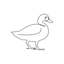 Draw a Duck in One Line: Quick Water Bird Art Practice for All Levels