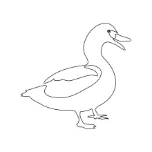 One-Line Duck Drawing: Simple Water Bird Sketching for Beginners