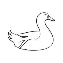 Easy Duck Drawing with One Line: Great for Practicing Animal Shapes and Forms