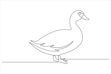 One-Line Duck Art Practice: Easy Bird Drawing for Fun and Skill Building
